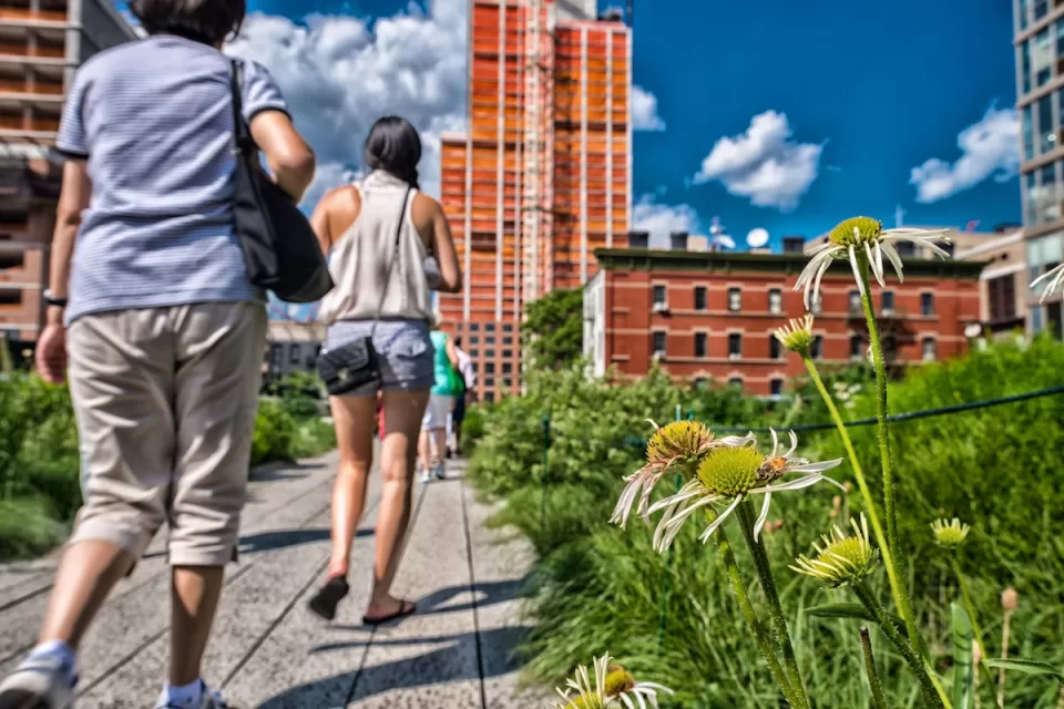 Low close-up of yellow flowers and pedestrians walking on New York City's High Line linear park.